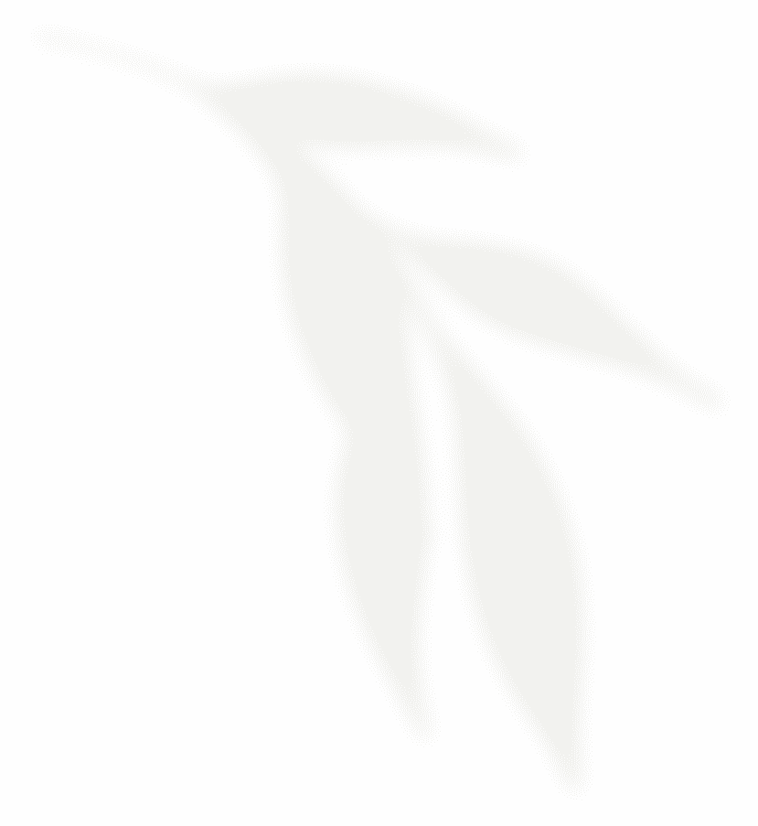 leaf 1