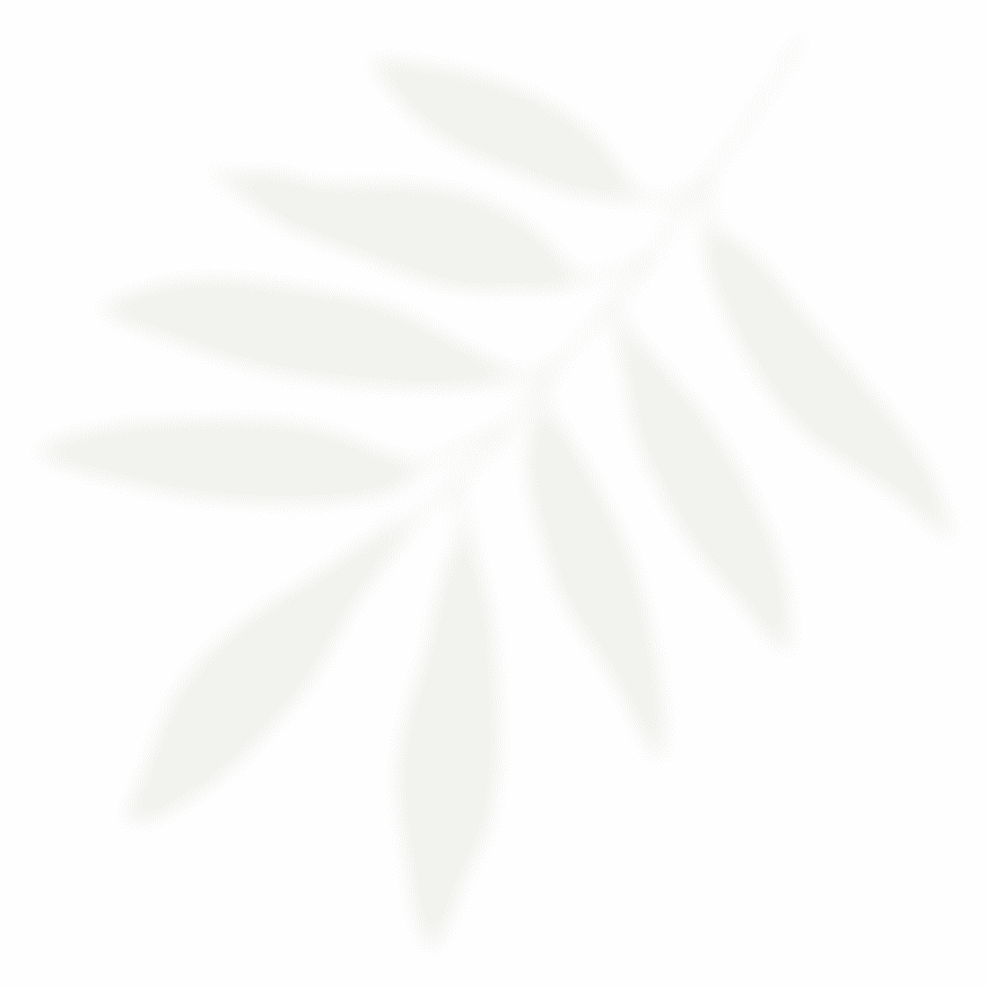 leaf background